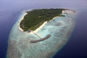 laccadive sea pictures
