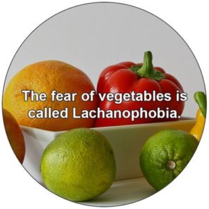 lachanophobia facts