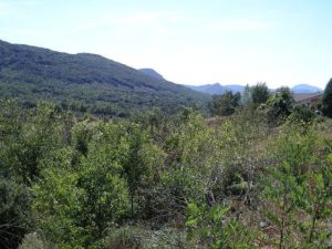 facts about languedoc roussillon