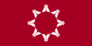lakota flag
