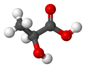 lactic acid facts