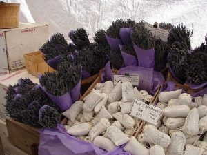 Lavender Flowers