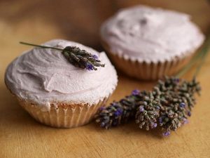 Lavender Pic