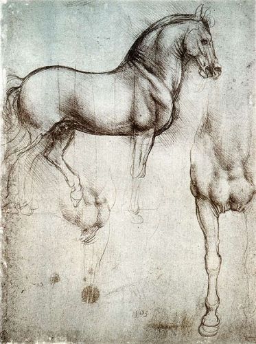 Leonardo da Vinci Study of Horse