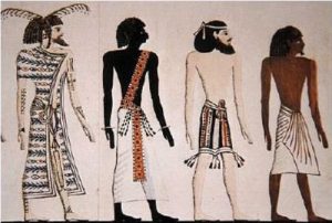 Facts about Life Processes of Human Beings