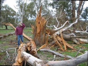 Facts about Lightning Safety