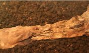 Facts about Lindow Man