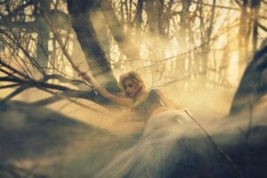 Fact about Lucid Dreaming
