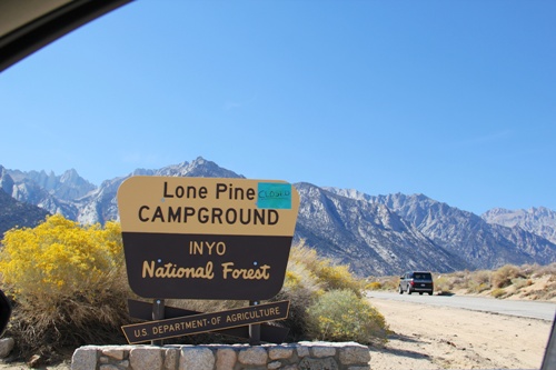 Facts about Lone Pine