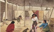 Facts about Longhouses
