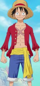 Facts about Luffy