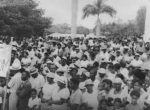 Majority Rule Day Facts