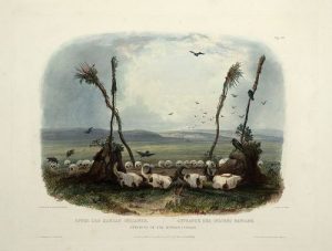 the Mandan Tribe Facts