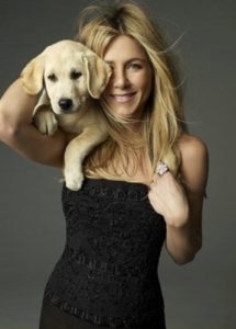 Marley and Me