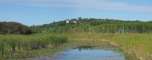 Marshes